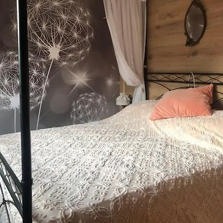 Holiday Guesthouse La Casina Di Butzi Pet Friendly - Terme Di Arta - Zoncolan Arta Terme Esterno foto