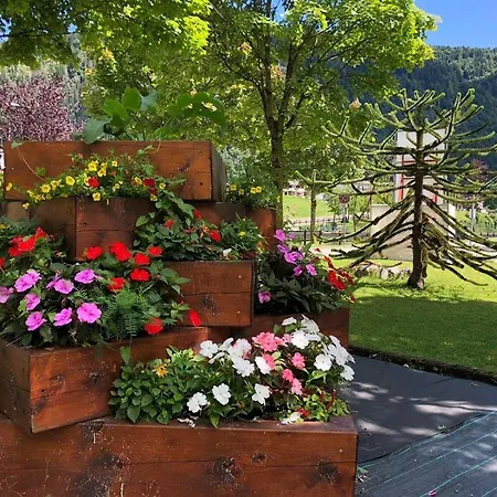 Holiday Guesthouse La Casina Di Butzi Pet Friendly - Terme Di Arta - Zoncolan Arta Terme Esterno foto