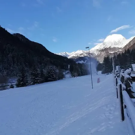 Holiday Guesthouse La Casina Di Butzi Pet Friendly - Terme Di Arta - Zoncolan Arta Terme Esterno foto