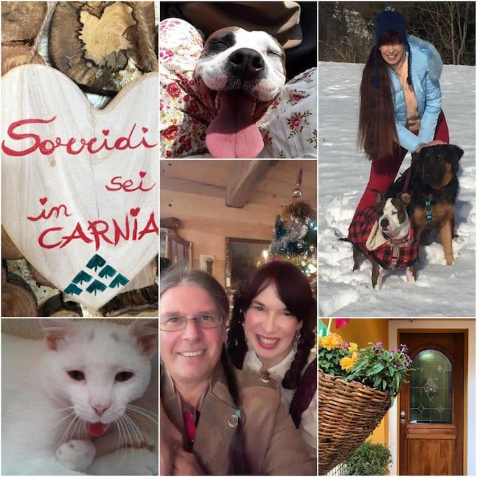 La Casina Di Butzi Pet Friendly - Terme Di Arta - Zoncolan Holiday home *