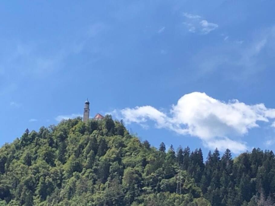 La Casina Di Butzi Pet Friendly - Terme Di Arta - Zoncolan Holiday home *