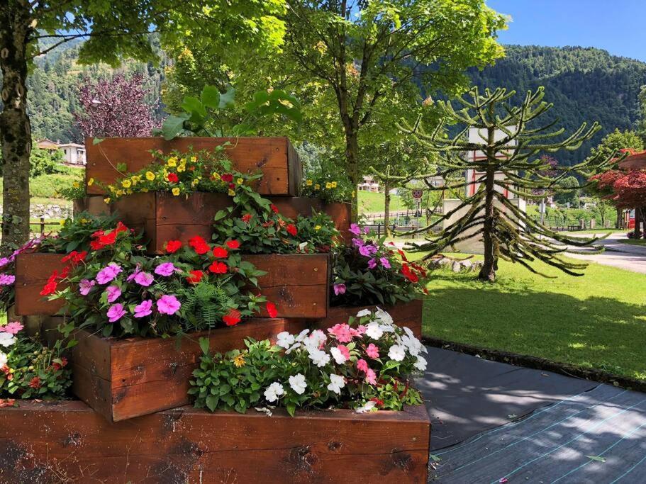 La Casina Di Butzi Pet Friendly - Terme Di Arta - Zoncolan * Arta Terme