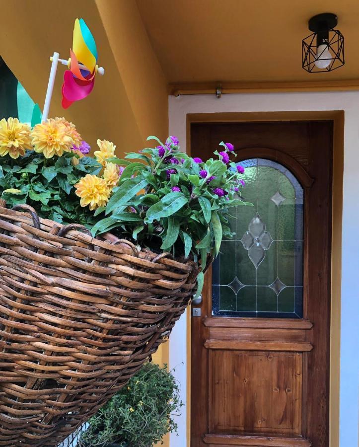 La Casina Di Butzi Pet Friendly - Terme Di Arta - Zoncolan