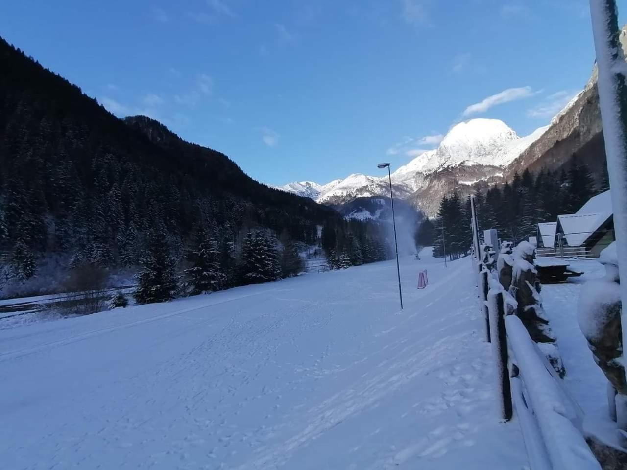 La Casina Di Butzi Pet Friendly - Terme Di Arta - Zoncolan *