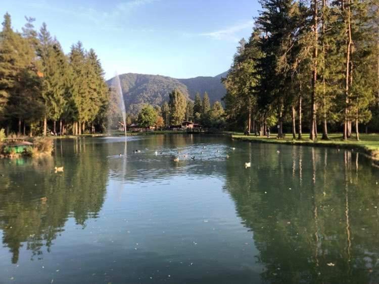 La Casina Di Butzi Pet Friendly - Terme Di Arta - Zoncolan * Arta Terme